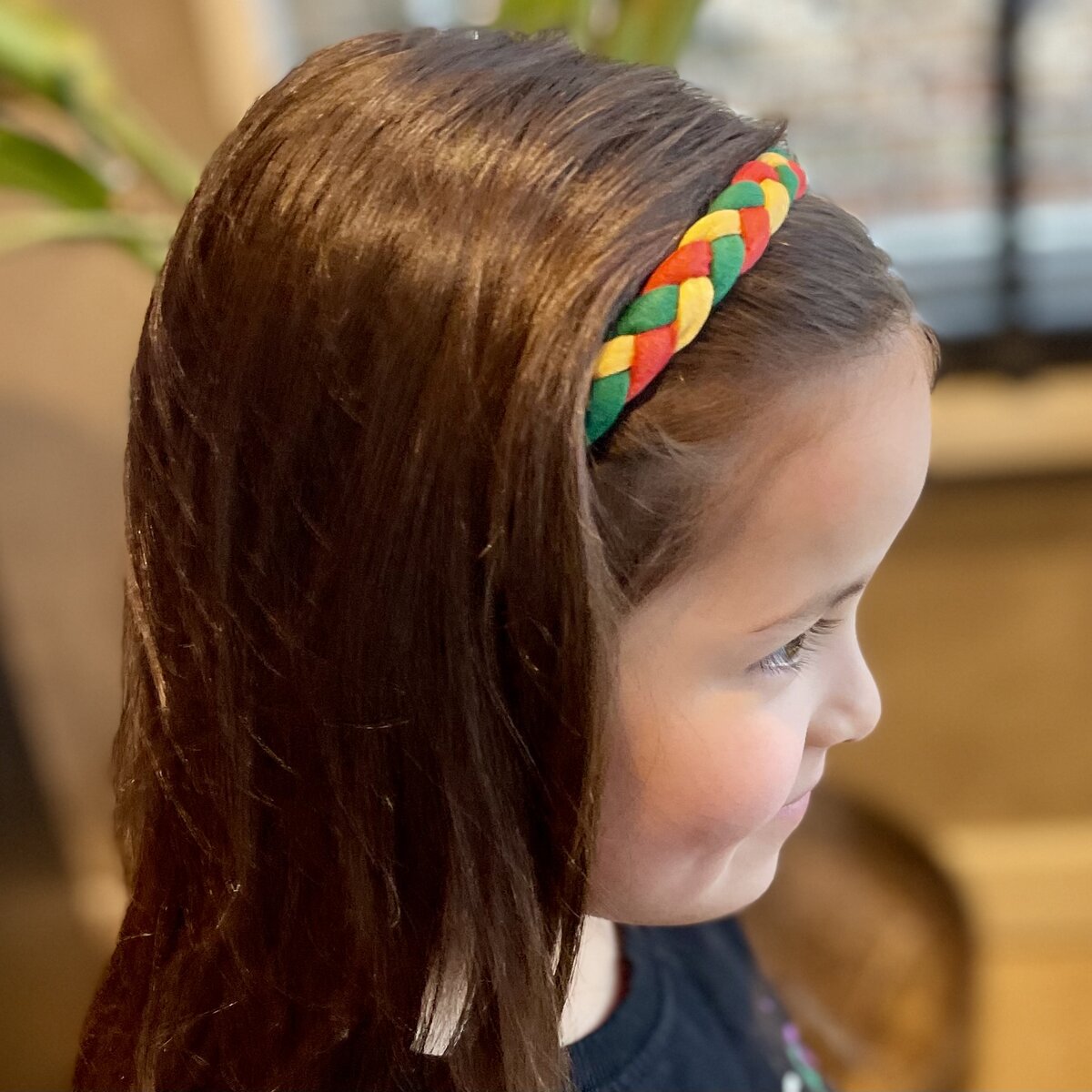 bedreiging roltrap Overdreven Haarband Carnaval – Lana's haarfrutsels